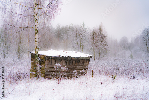A windowless house next to a birch tree on a snowy landscape