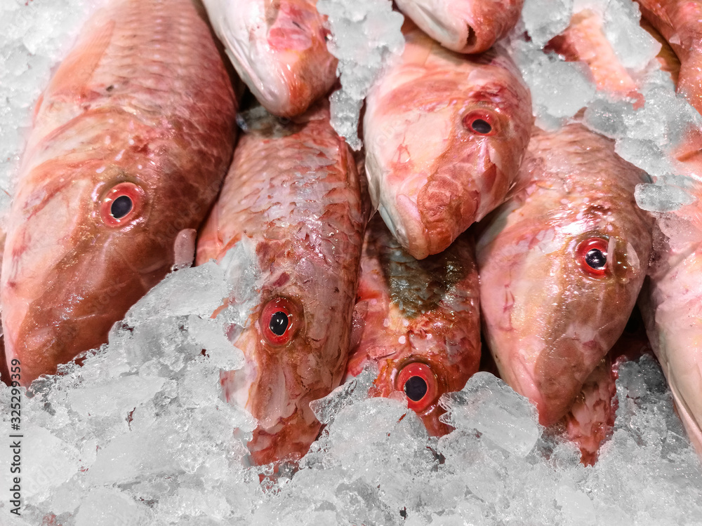 Saving fresh fish in ice for send to the market