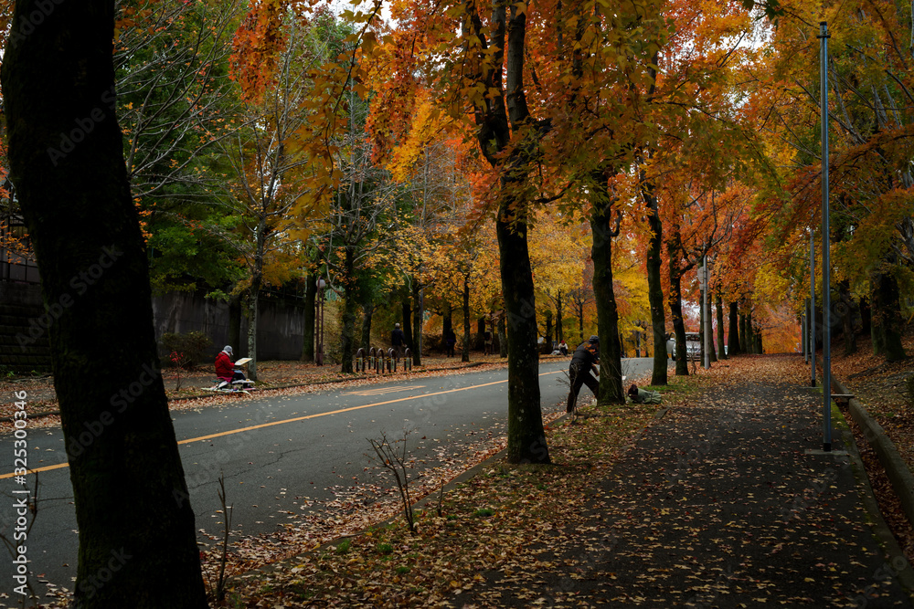 Naklejka premium 芸術の秋 絵を描く人々のいる紅葉する街並み