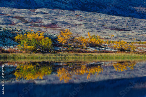 Trees reflected in mountain lake  Rondane National park  Norway.