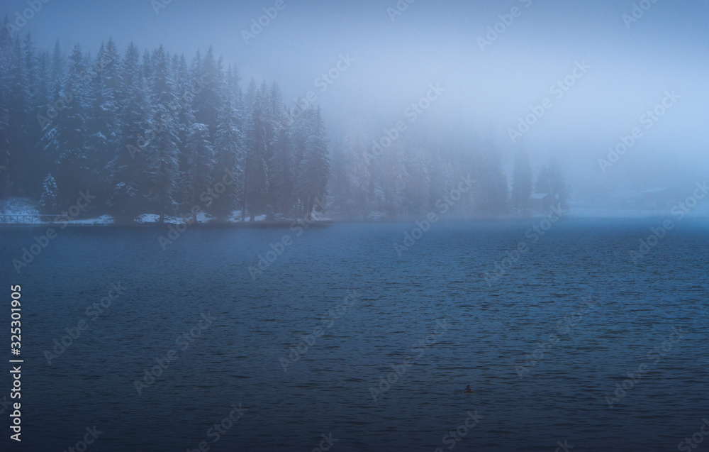 Fototapeta premium fog over the river