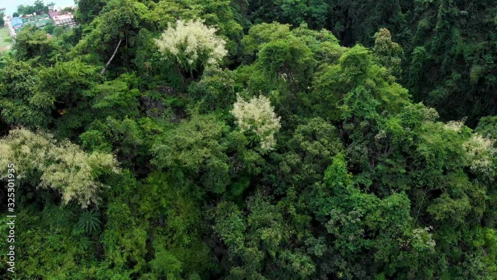 Thailand jungle from a birds eye in south Asia during rain season Thailand jungle from a birds eye in south Asia during rain season