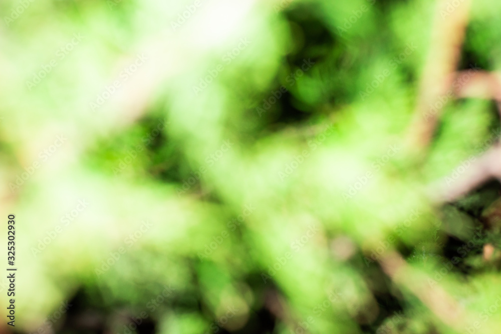 Blurred background with light branches in the dark Blurred background with light branches in the dark