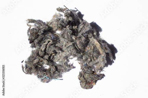 Dust, Fluff, Remnant of clothes on laundry after removing from clothing dryer on white background, Laundry machine cleaning concept, Close up and macro shot
