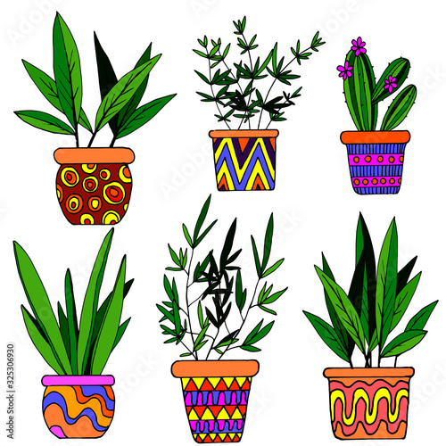 vector stock illustration, set of flowerpots in bright colors, isolate on a white background, book ornament