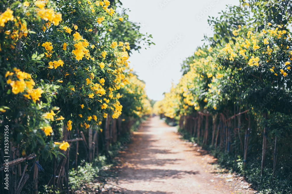 Naklejka premium autumn in the park