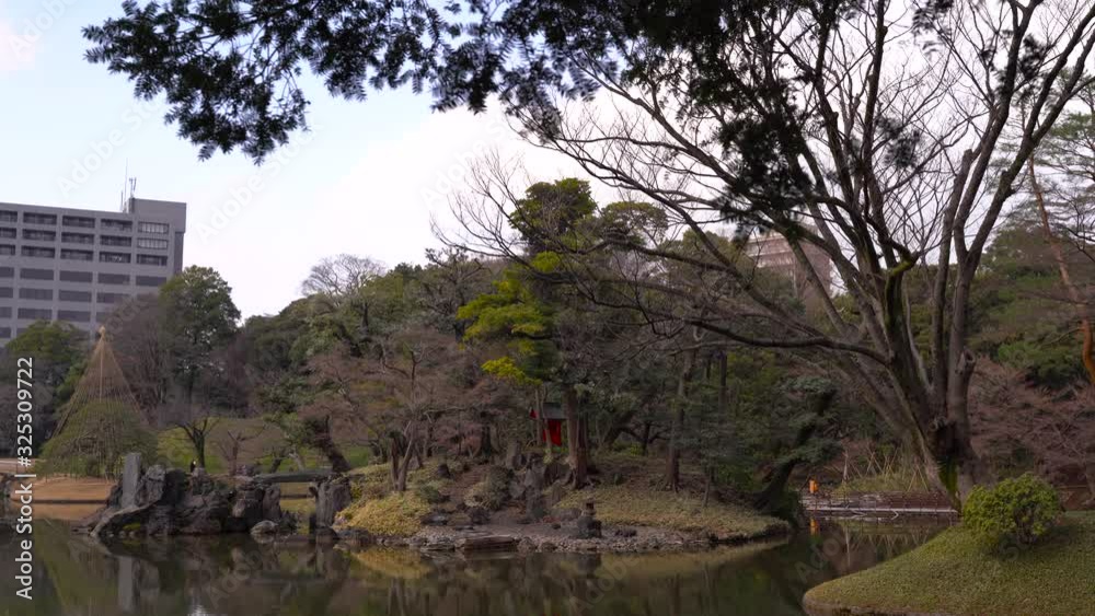 Tranquil And Scenic Landscape At Koishikawa Korakuen Park In Tokyo Japan With Lush And Bare Trees Surrounding The Pond - Wide Shot Tranquil And Scenic Landscape At Koishikawa Korakuen Park In Tokyo Japan With Lush And Bare Trees Surrounding The Pond - Wide Shot