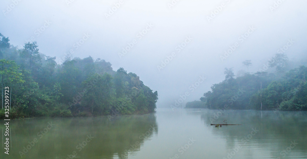 Beautiful view of misty lake surrounded with tropical rain forest, Borneo, Indonesia