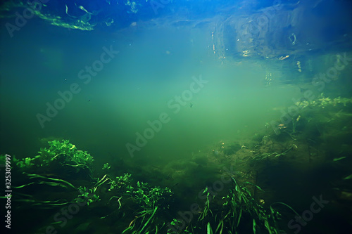 underwater freshwater green landscape   underwater landscape of the lake ecosystem  algae  green water  fresh water