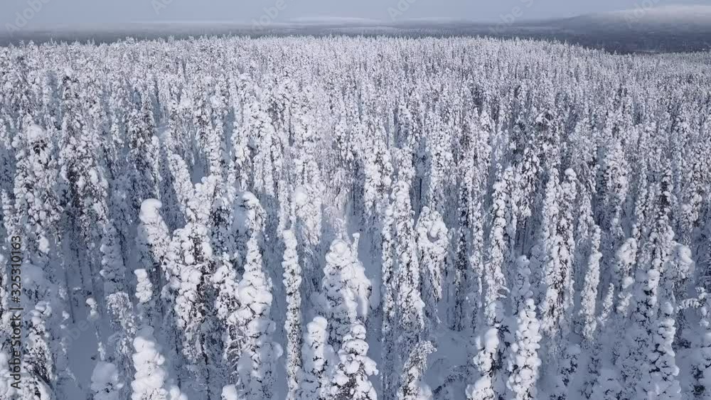 Amazing shot from above the snow covered trees in Lapland, northern Europe, Finland Amazing shot from above the snow covered trees in Lapland, northern Europe, Finland