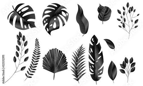 Vector leaves black set Design banner Spring background. Vector illustration template.