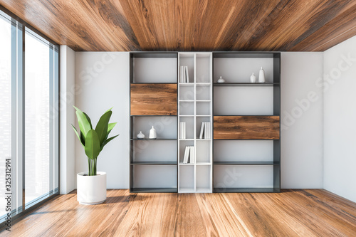 White living room interior with bookcase
