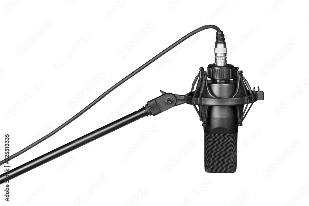Professional microphone in a mic holder. isolated - obrazy, fototapety, plakaty 