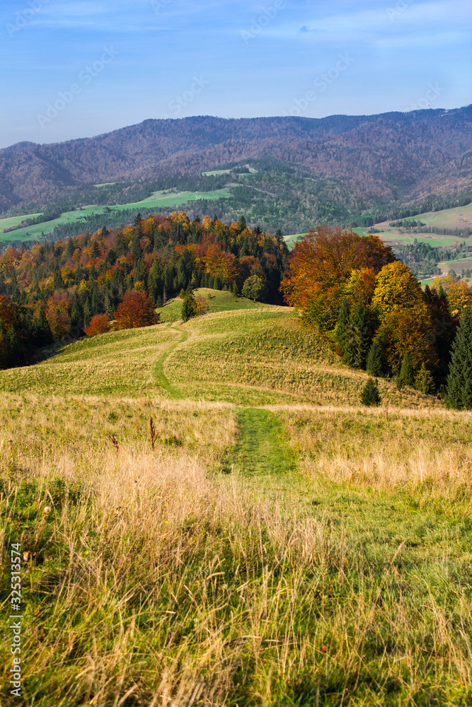 Pieniny Mountains. Autumn.  Pawlowska Mountain.