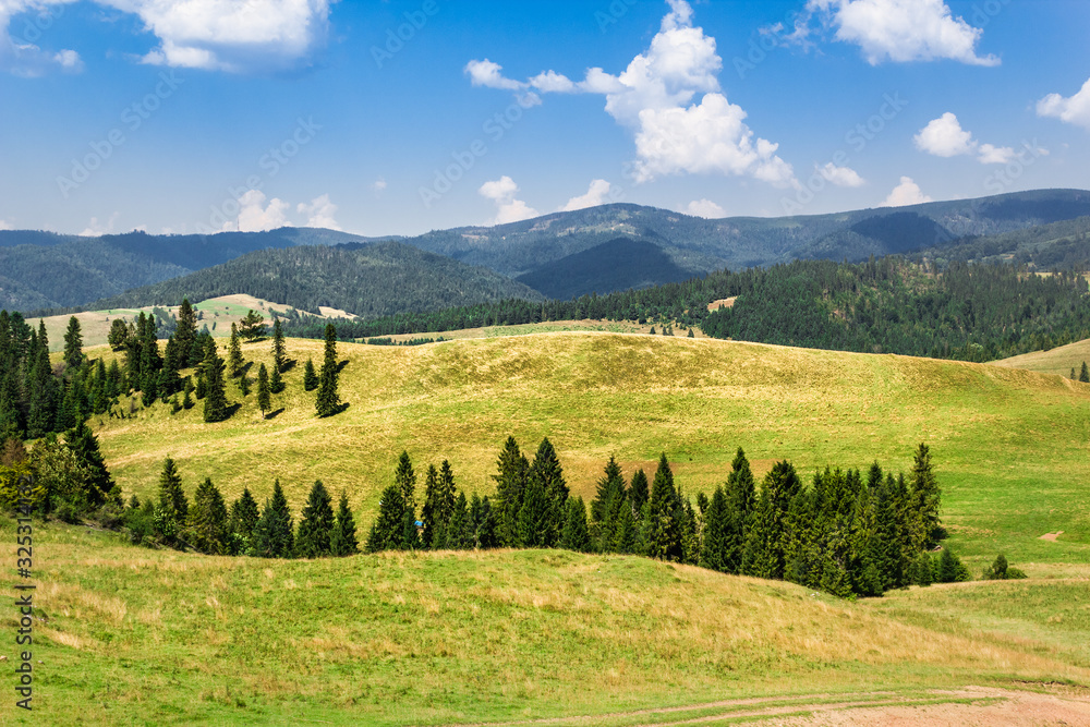 Summer in Pieniny Mountains. View of valley of nature reserve 
