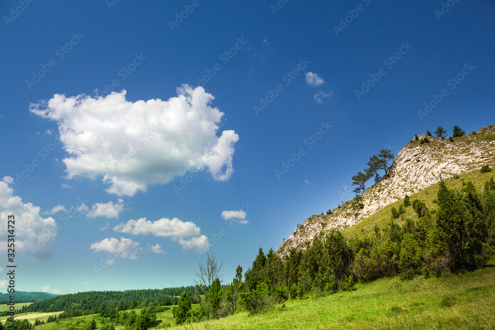 Outstanding limestone rock. Smolegowa Skala. Pieniny Mountains, Poland.