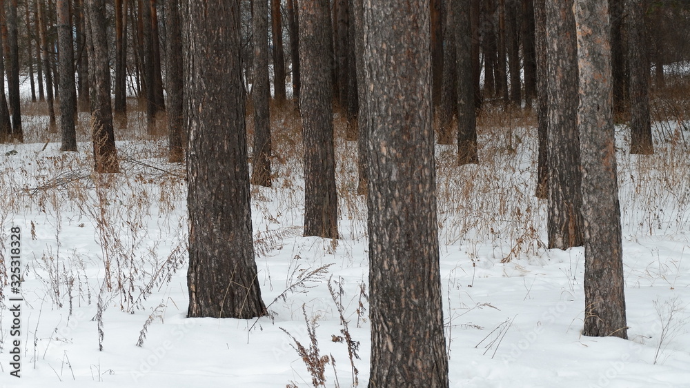 Fototapeta premium wooden fence in snow