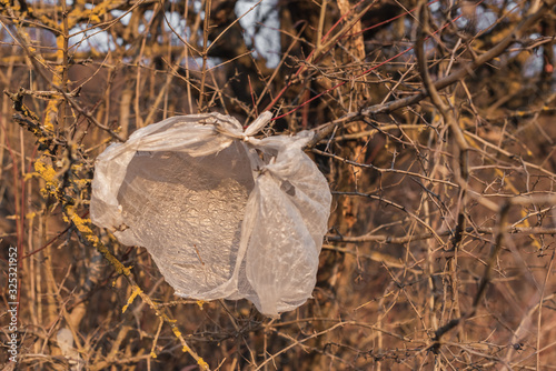 plastic bag littering the environment in the forest