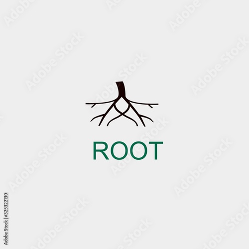 ROOT icon design illustration vector photo