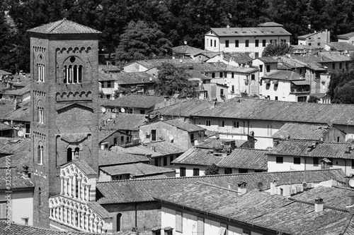 Obraz na plátne San Piero Domaldi and Surroundings, Lucca, Tuscany, Italy