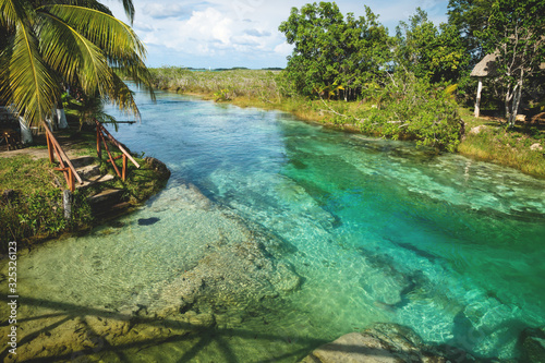 Fototapeta Naklejka Na Ścianę i Meble -  Seven colored lagoon surrounded by tropical plants in Bacalar, Quintana Roo, Mexico