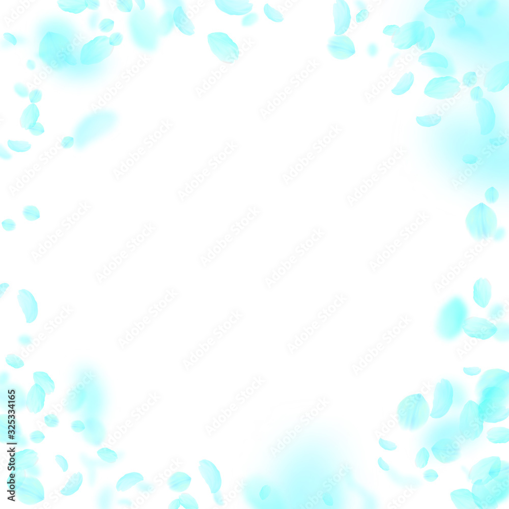 Turquoise flower petals falling down. Exquisite ro Turquoise flower petals falling down. Exquisite ro