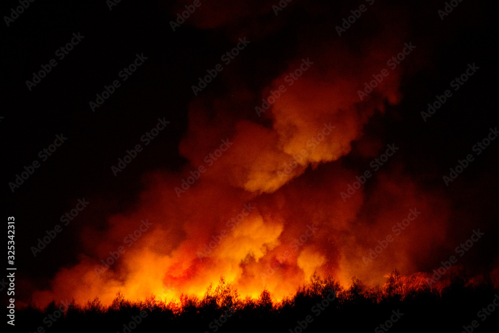 Big smoke from the burning sugarcane fields at night cause of pollution and environment impact.