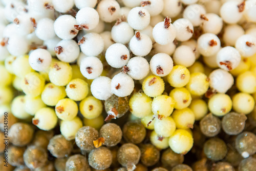 wedding decor. candle and artificial sugar berries. snow bush berries photo