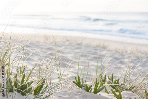 sunrise light on white sand beach with dune grass and succulents in Australia with turquoise surf waves of the pacific ocean 