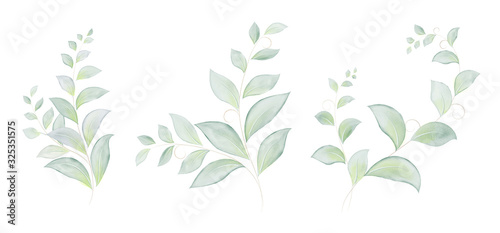Watercolor set of green leaves