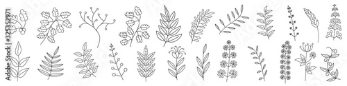 Tree branches collection. Vector outline icons.