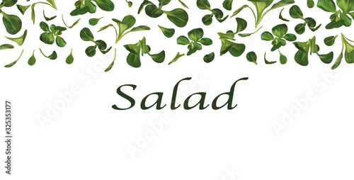 3D realistic lamb s lettuce on white background. Fresh green salad with copy space for your text. Vector illustration.