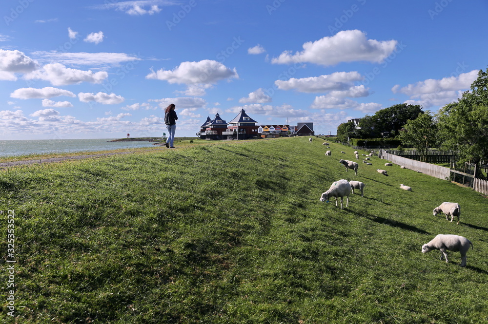 Obraz premium Woman walking on the dikes near Stavoren