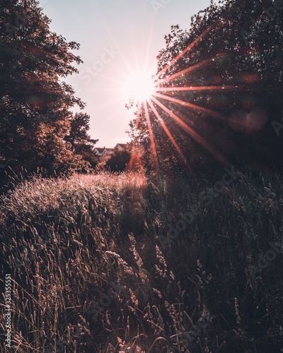 My lovely sun.