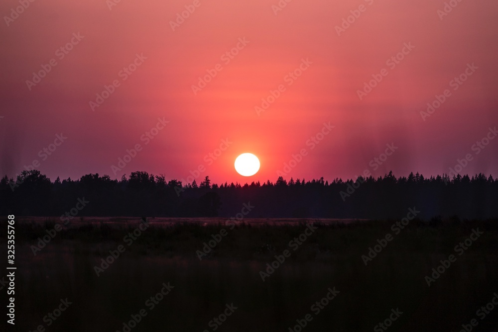 Obraz premium My lovely sun.