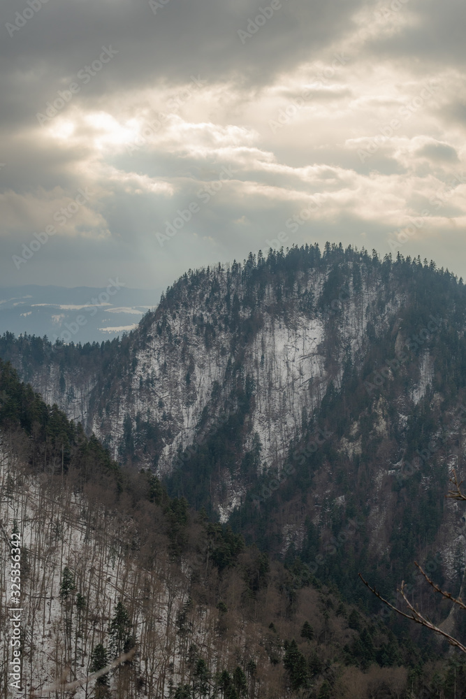 Widoki z pienińskiego szczytu Sokolica w pochmurny zimowy dzień - obrazy, fototapety, plakaty 