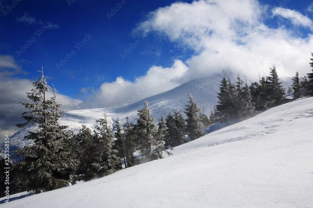 Hoverla Mountain in winter.