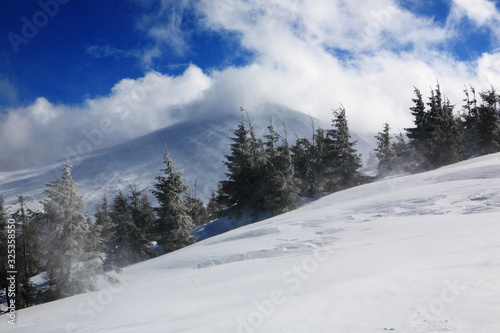 Hoverla Mountain in winter. © Vitalfoto