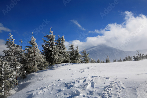 Hoverla Mountain in winter. © Vitalfoto