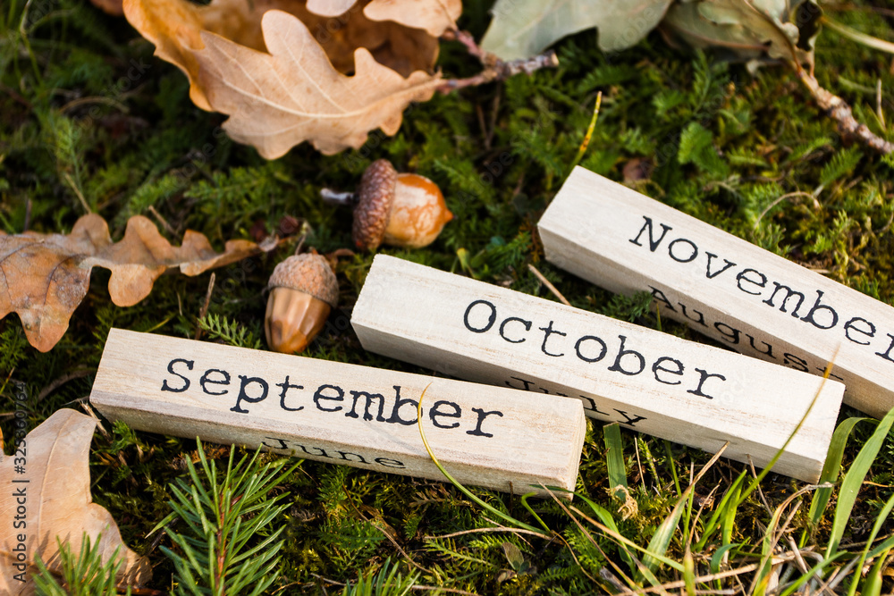 Decorative wooden calendar with date of Thanksgiving holiday, autumn decorations