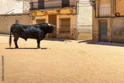 toro español en fiestas populares 