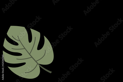 abstract floral background, monstera on a black background