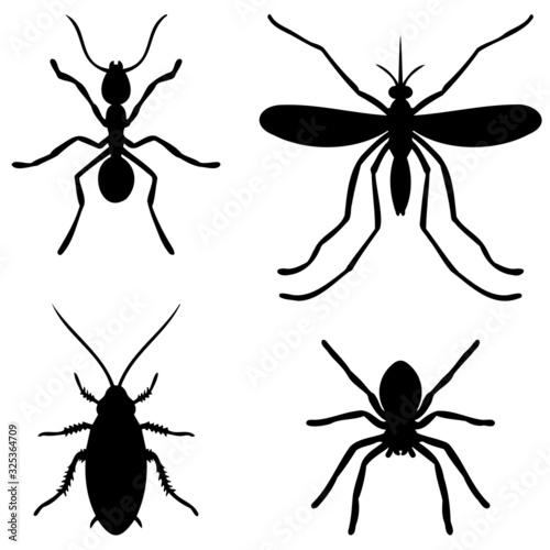 vector pictograms of four different insects in black. Ant, cockroach, spider, mosquito.