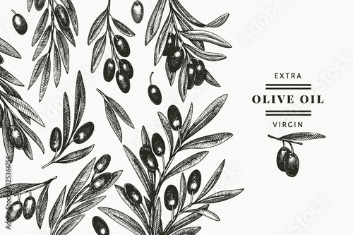 Olive branch design template. Hand drawn vector food illustration. Engraved style mediterranean plant. Retro botanical picture.