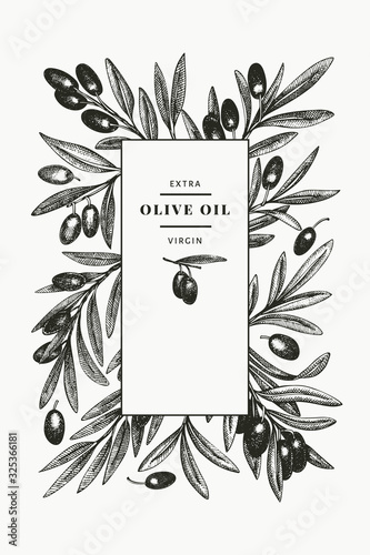 Olive branch design template. Hand drawn vector food illustration. Engraved style mediterranean plant. Retro botanical picture.