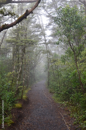 Tongariro Nationalpark Neuseeland