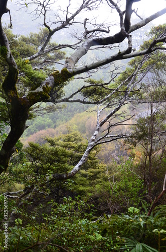 Tongariro Nationalpark Neuseeland