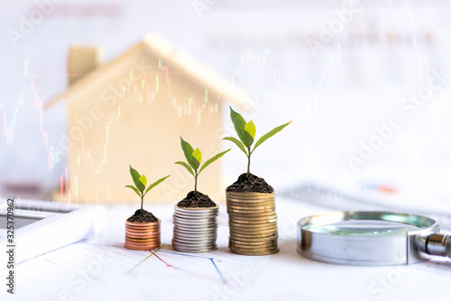 Investor of real estate.  The plants growing on money coin stack for investment home with financial report graph background.  Investment property growth Concept