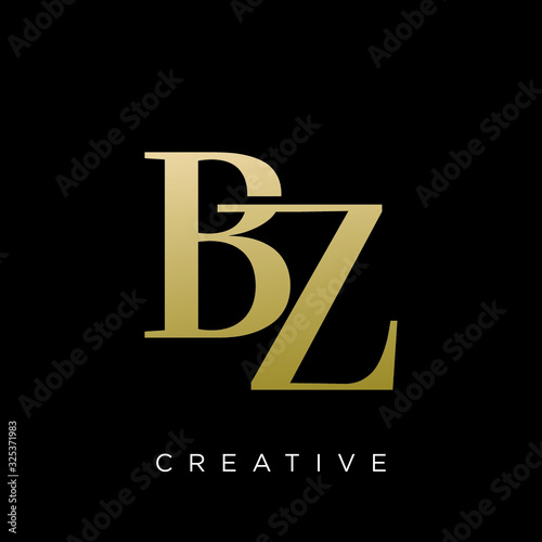 bz logo design vector icon
