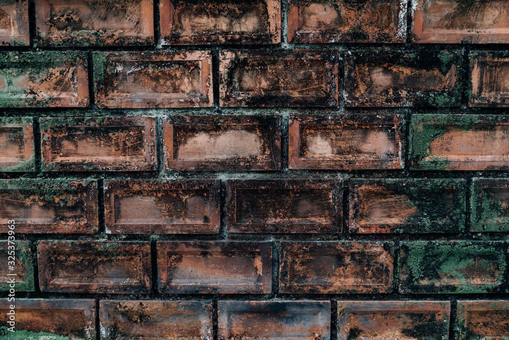 Fototapeta premium Art of green nature on the red-orange brick wall